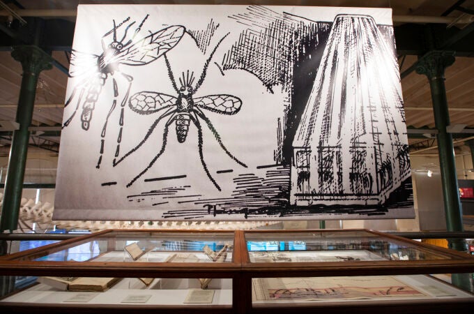 Exposición sobre la Malaria en el Museo de Ciencias Naturales. © Jesús G. Feria.