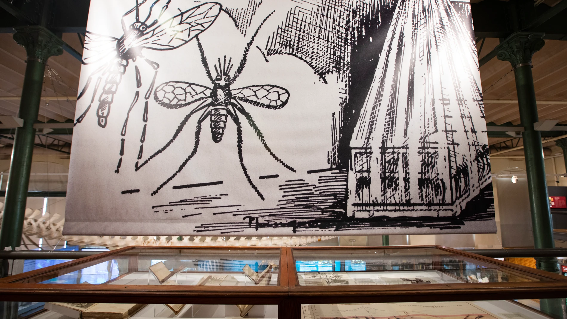Exposición sobre la Malaria en el Museo de Ciencias Naturales. © Jesús G. Feria.