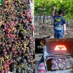 Sucesos.- La Guardia Civil recupera cerca de dos toneladas de uva robadas en fincas de la comarca del Bajo Guadalentín