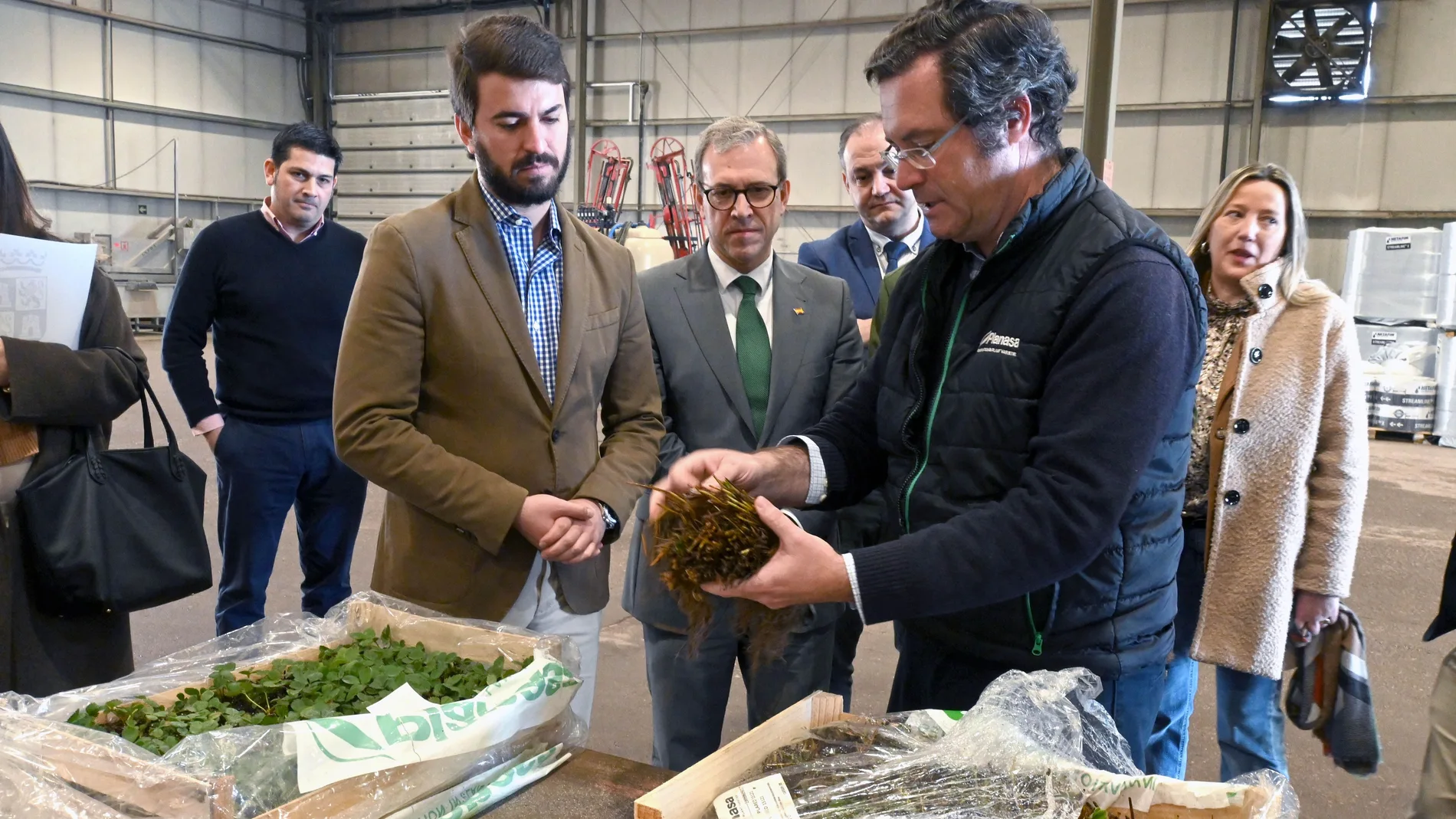 García-gallardo visita junto a Veganzones la finca segoviana de la empresa Planasa, líder en España y en el mundo en producción de plantas de frutos rojos