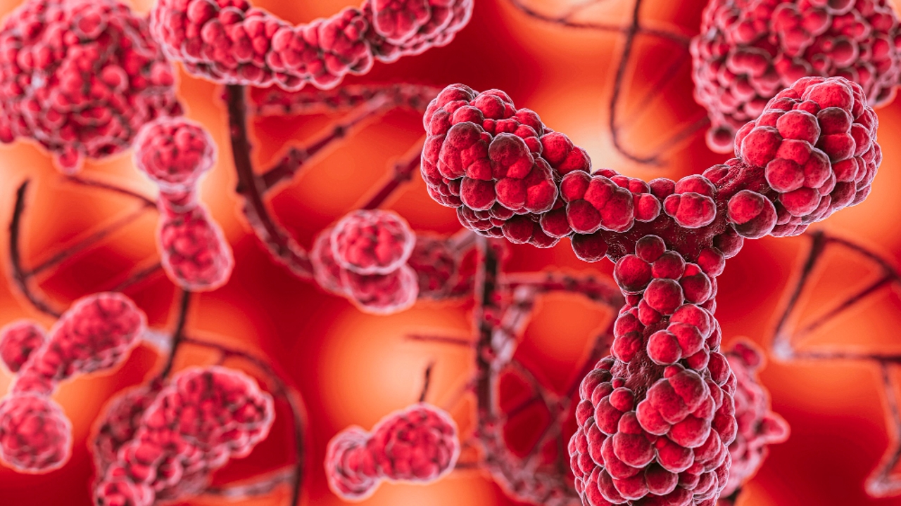 What Is Group A Streptococcus And This Deadly Bacteria Is Stirring New what-is-group-a-streptococcus-and-this-deadly-bacteria-is-stirring-new