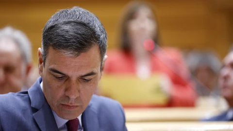 Sesion de control al Gobierno en el Senado. El presidente del Gobierno, Pedro Sanchez. © Jesús G. Feria.