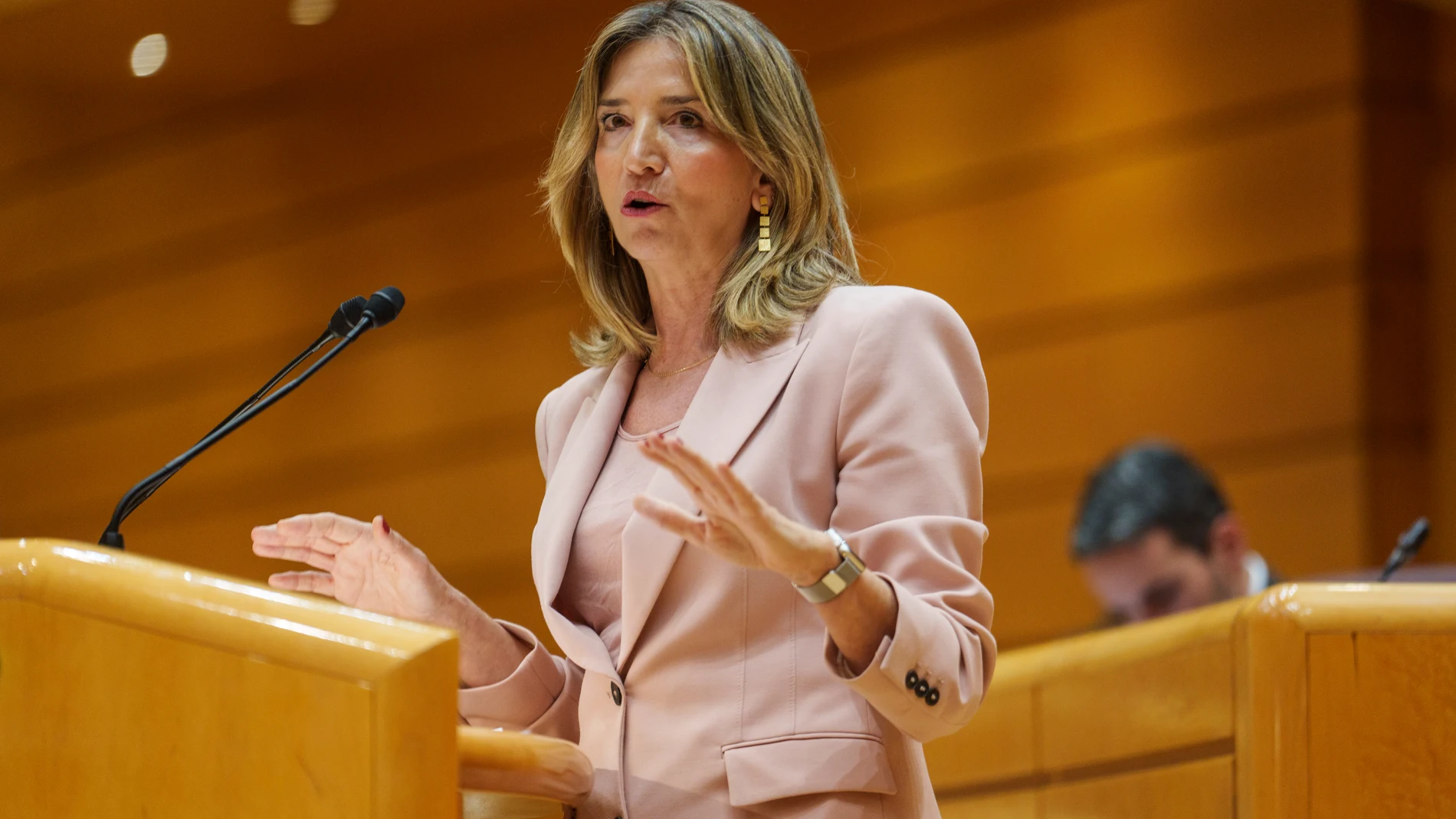 Alicia García en el Pleno del Senado
