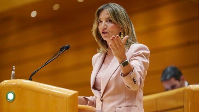 Alicia García en el Pleno del Senado. David Jar