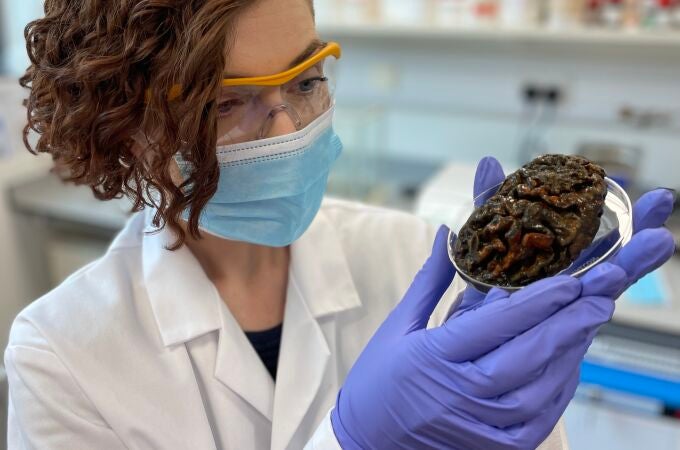 Alexandra Morton-Hayward, antropóloga forense en la Universidad de Oxford, muestra un cerebro de 1.000 años de antigüedad. 