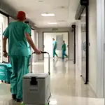 Médico de con carrito de trasplantes