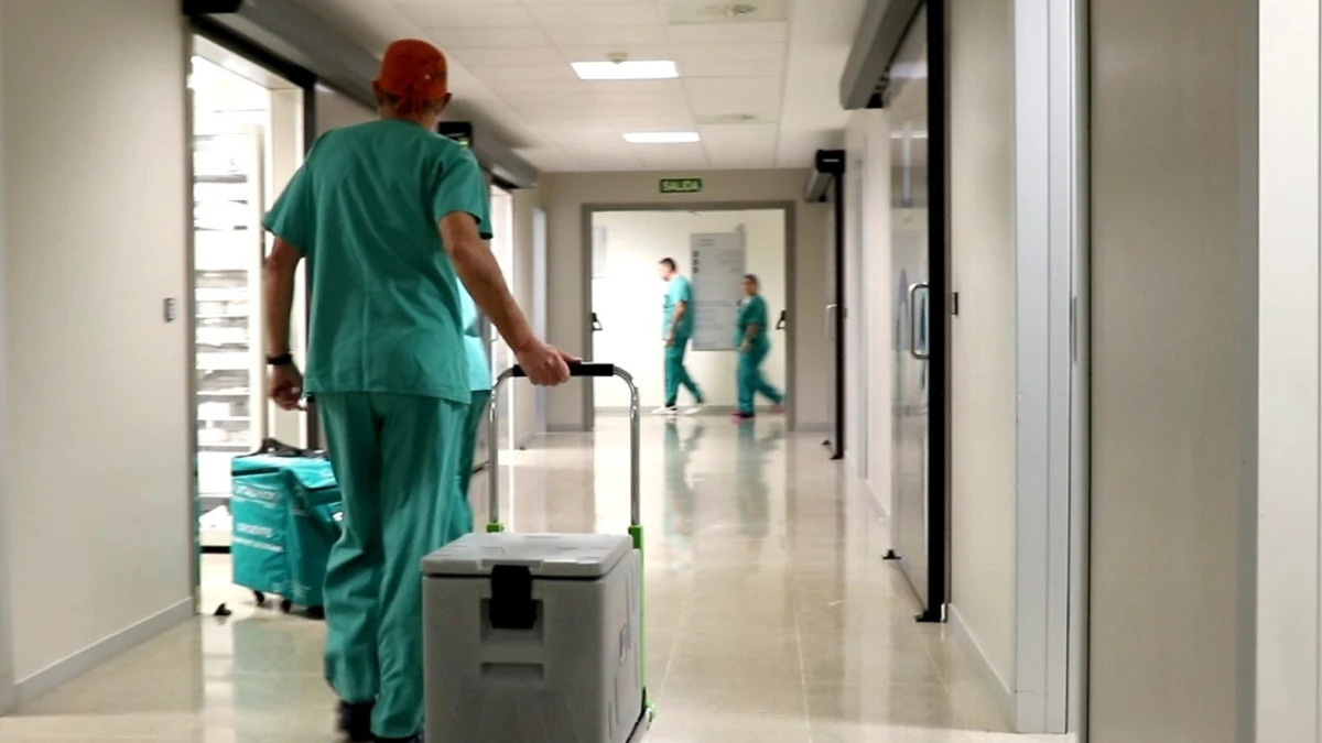 Nuevo récord de trasplantes en España: 48 en apenas 24 horas