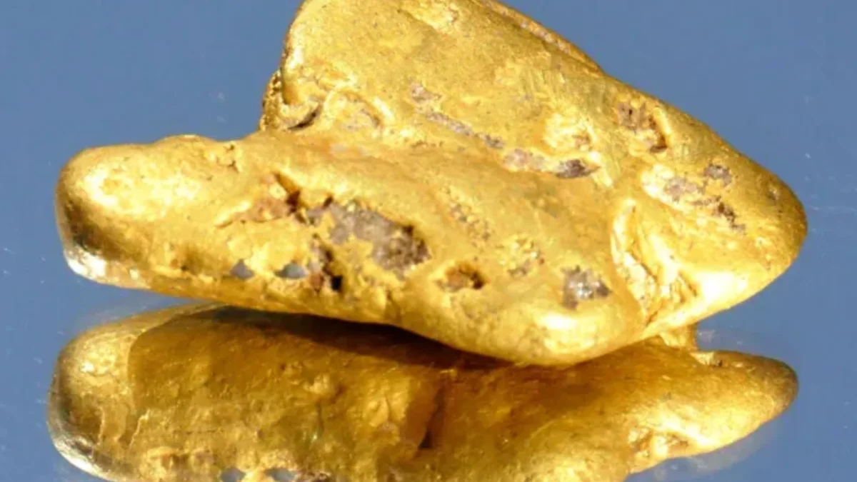 Un detector de metales encuentra una pepita de oro de 35.000 euros