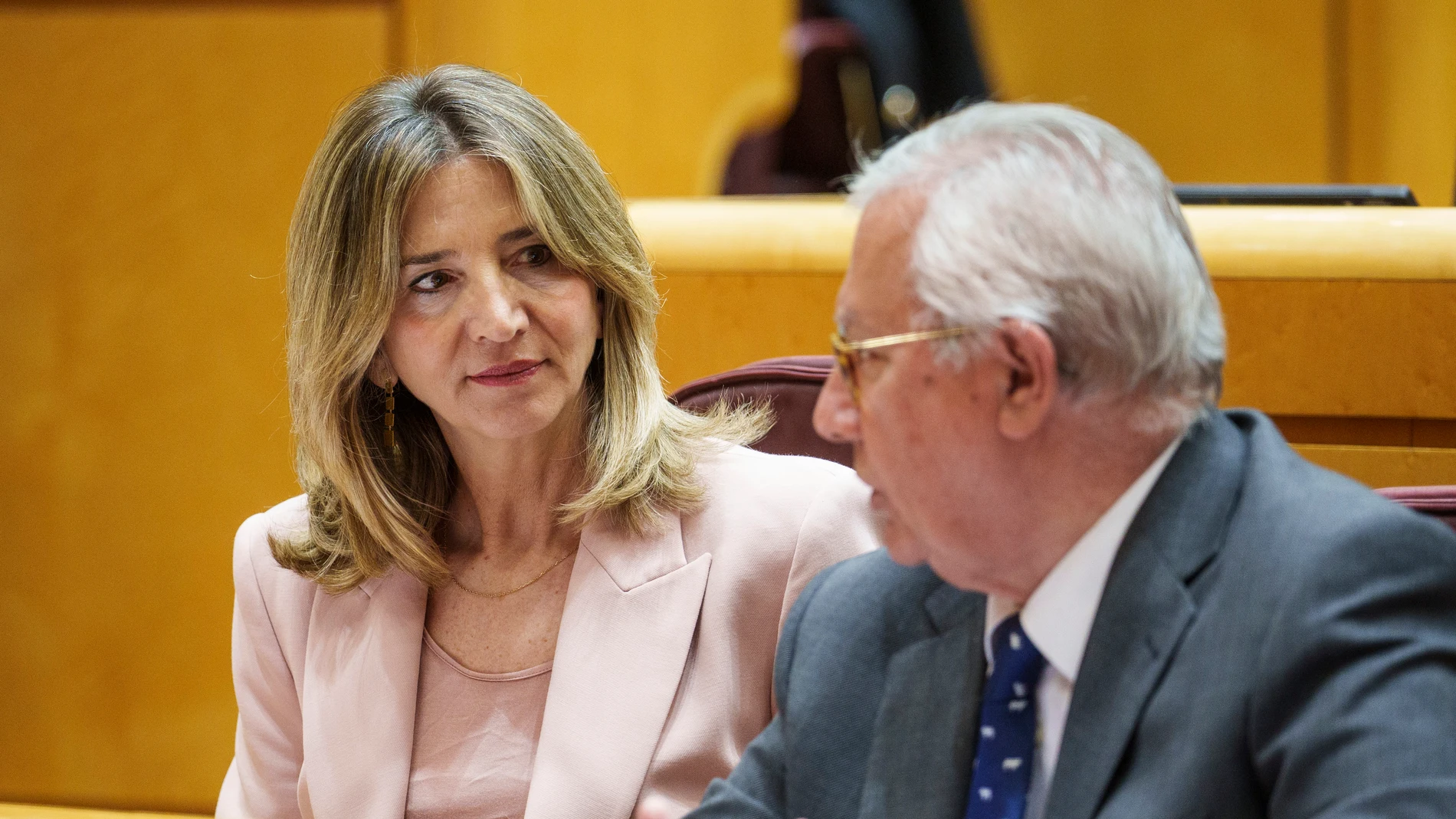 Alicia García y Javier Arenas en un pleno del Senado.