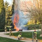 El fuego calcina varios setos y un ciprés en el barrio de Villa del Prado, en Valladolid