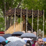 Semana Santa en Sevilla. Domingo de Ramos