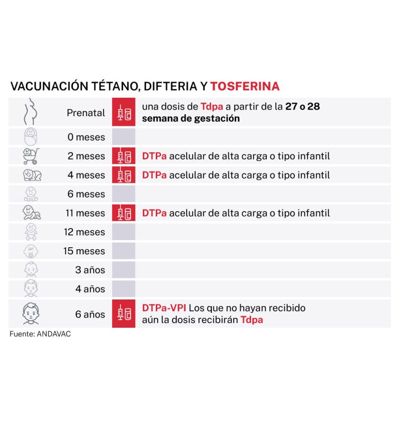 Calendario vacunación de la tosferina en Andalucía
