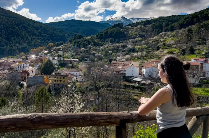 La espectacular ruta para disfrutar de los mejores Cerezos en Flor de España
