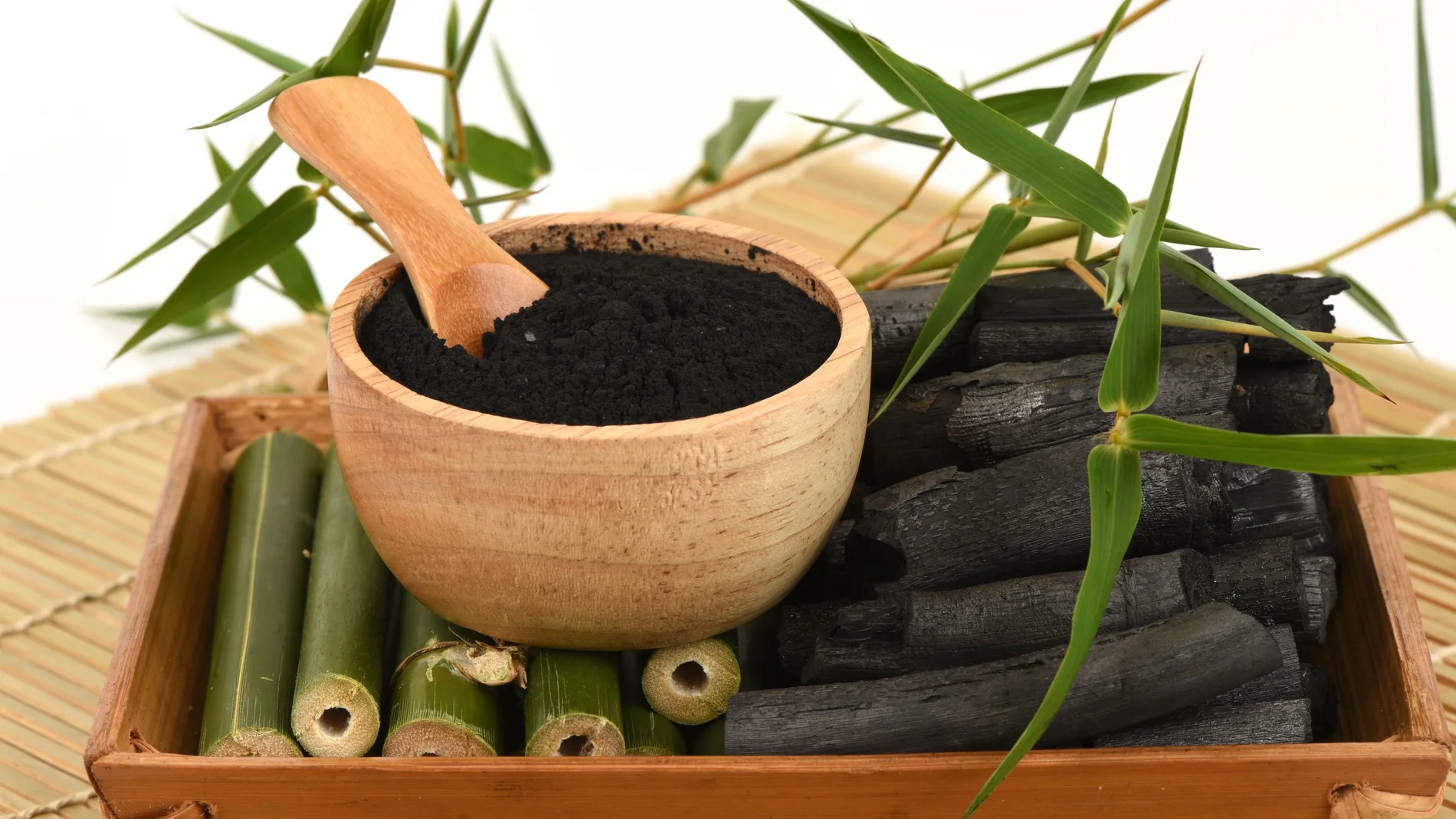 El bambú contiene siete de los nueve aminoácidos esenciales para el ser humano