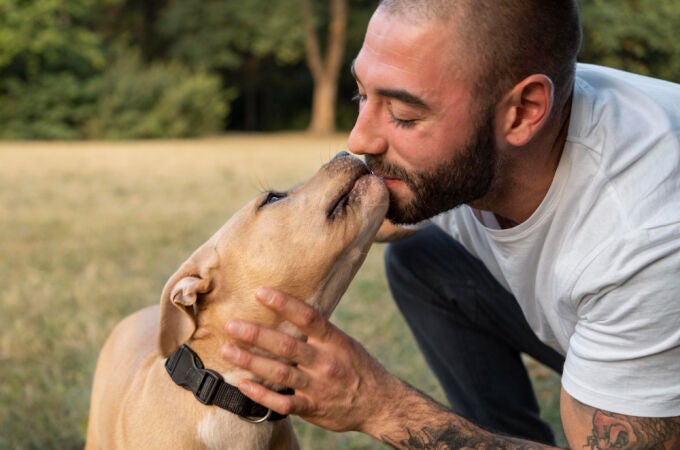 Los perros pueden oler signos de enfermedades como la diabetes, la epilepsia o el cáncer