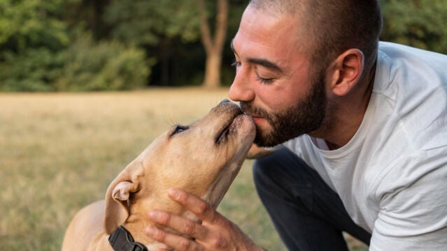 Los perros pueden oler signos de enfermedades como la diabetes, la epilepsia o el cáncer