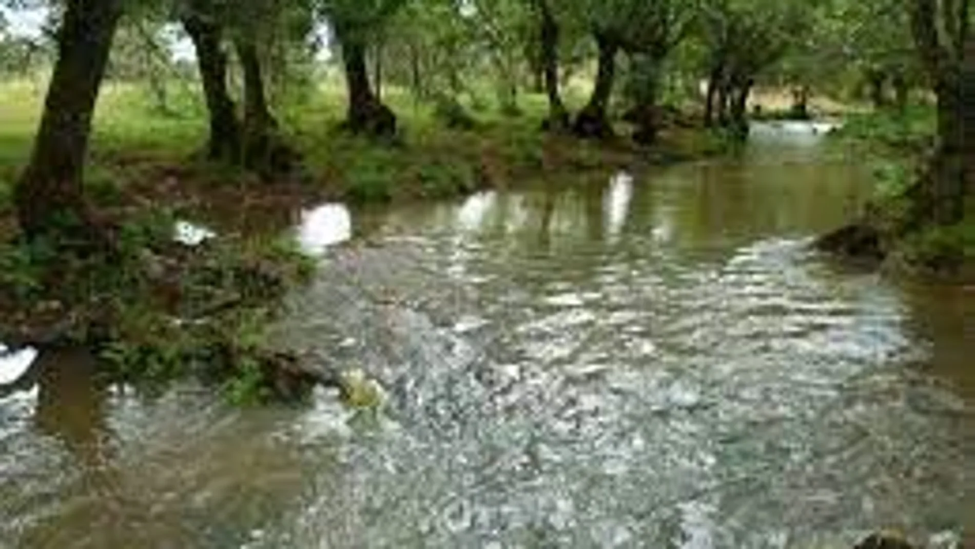 Río Castrón, en la provincia de Zamora