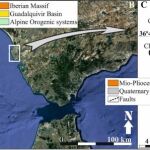 Descubierta la Doñana de hace 130.000 años en las costas de Cádiz