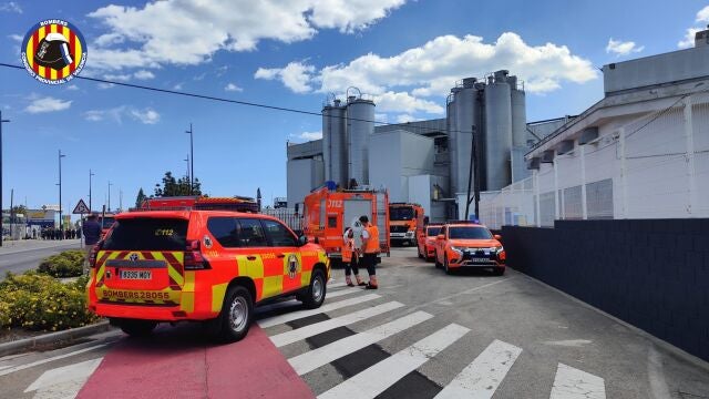 Imagen de una dotación de bomberos de Valencia