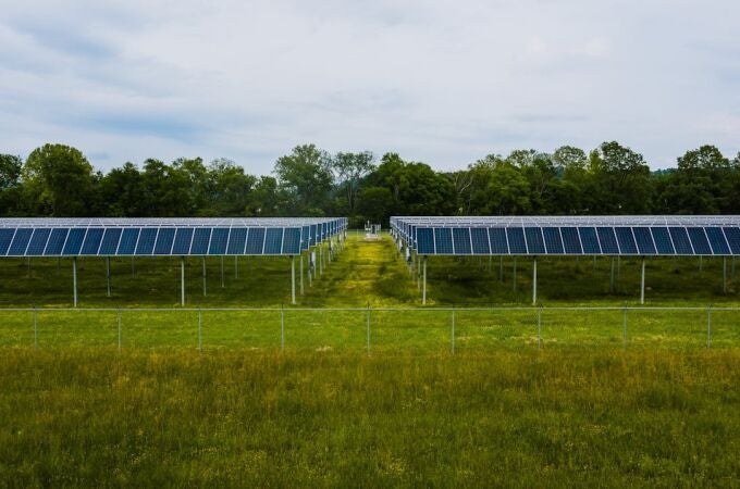 Energía fotovoltaica y biodiversidad: ¿aliados o adversarios?