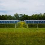 Energía fotovoltaica y biodiversidad: ¿aliados o adversarios?
