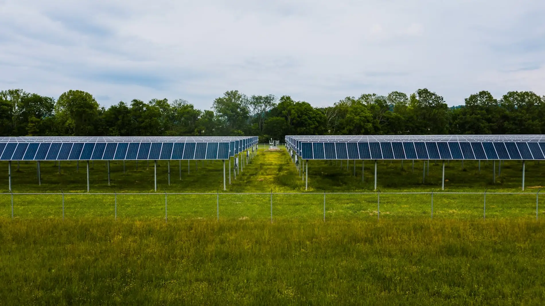 Energía fotovoltaica y biodiversidad: ¿aliados o adversarios?