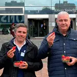 UPA reparte fresas de Huelva en Bruselas y reivindica que son sanas, seguras y sostenibles