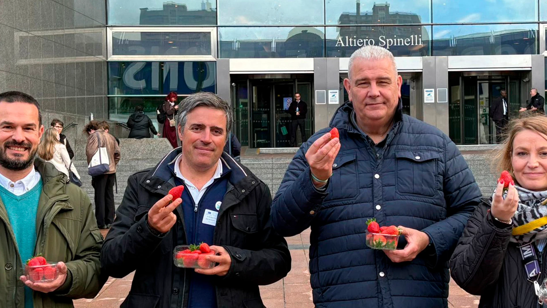 UPA reparte fresas de Huelva en Bruselas y reivindica que son sanas, seguras y sostenibles