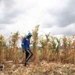 Zimbabue.- Zimbabue declara el estado de desastre nacional por sequía