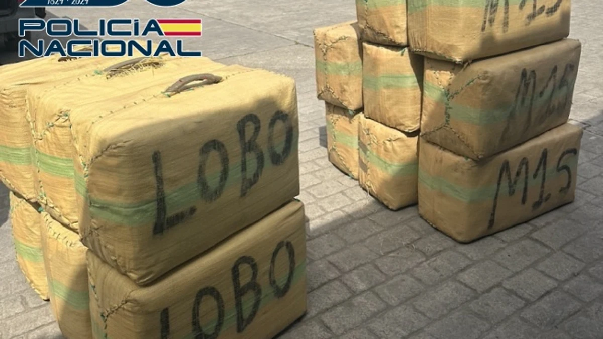 Interceptado en Algeciras un cargamento de 600 kilos de hachís y detenido un ciudadano francés