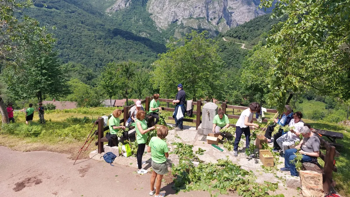 La Junta lanza un amplio programa de voluntariado ambiental con un total de 119 actividades en 29 espacios naturales