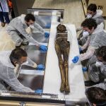 El Museo Arqueológico acoge la momia guanche del Barranco de Herques, el mejor ejemplo de restos momificados de las culturas prehispánicas canarias y con el que el este museo abre un espacio sobre las poblaciones prehispánicas. 