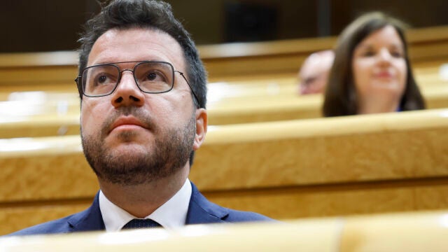 Aragonés, en el Senado