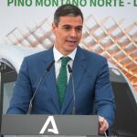 Economía.- Sánchez anuncia que el Gobierno eliminará la 'golden visa' para inversiones de extranjeros en vivienda