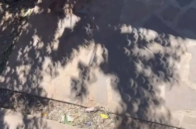 ¿Qué son las extrañas 'sombras de luna' vistas durante el eclipse solar total?