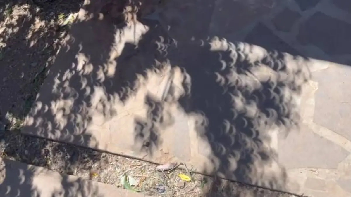 ¿Qué son las extrañas ‘sombras de luna’ vistas durante el eclipse solar total?