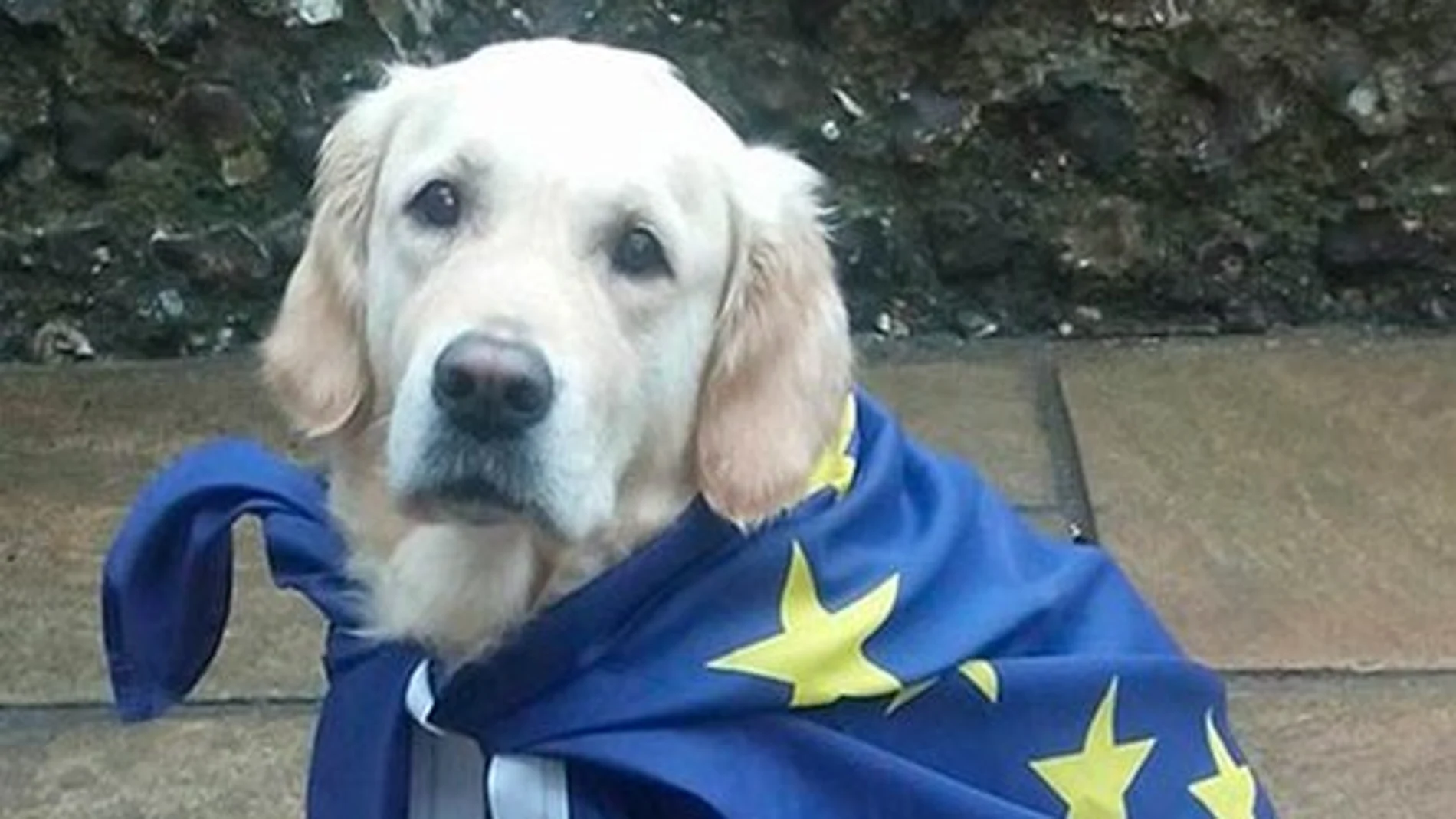 "Pasaporte para perros", la Guardia Civil informa de los documentos necesarios para viajar con tu mascota