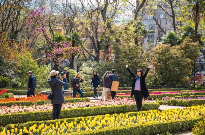 Jardineras de tulipanes en el Real Jardín Botánico de Madrid