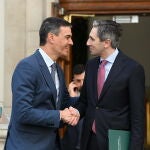 Spanish Prime Minister Pedro Sanchez visits Dublin