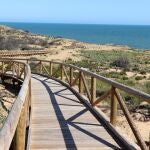 Inmediaciones de la playa de Castilla, en Almonte (Huelva)