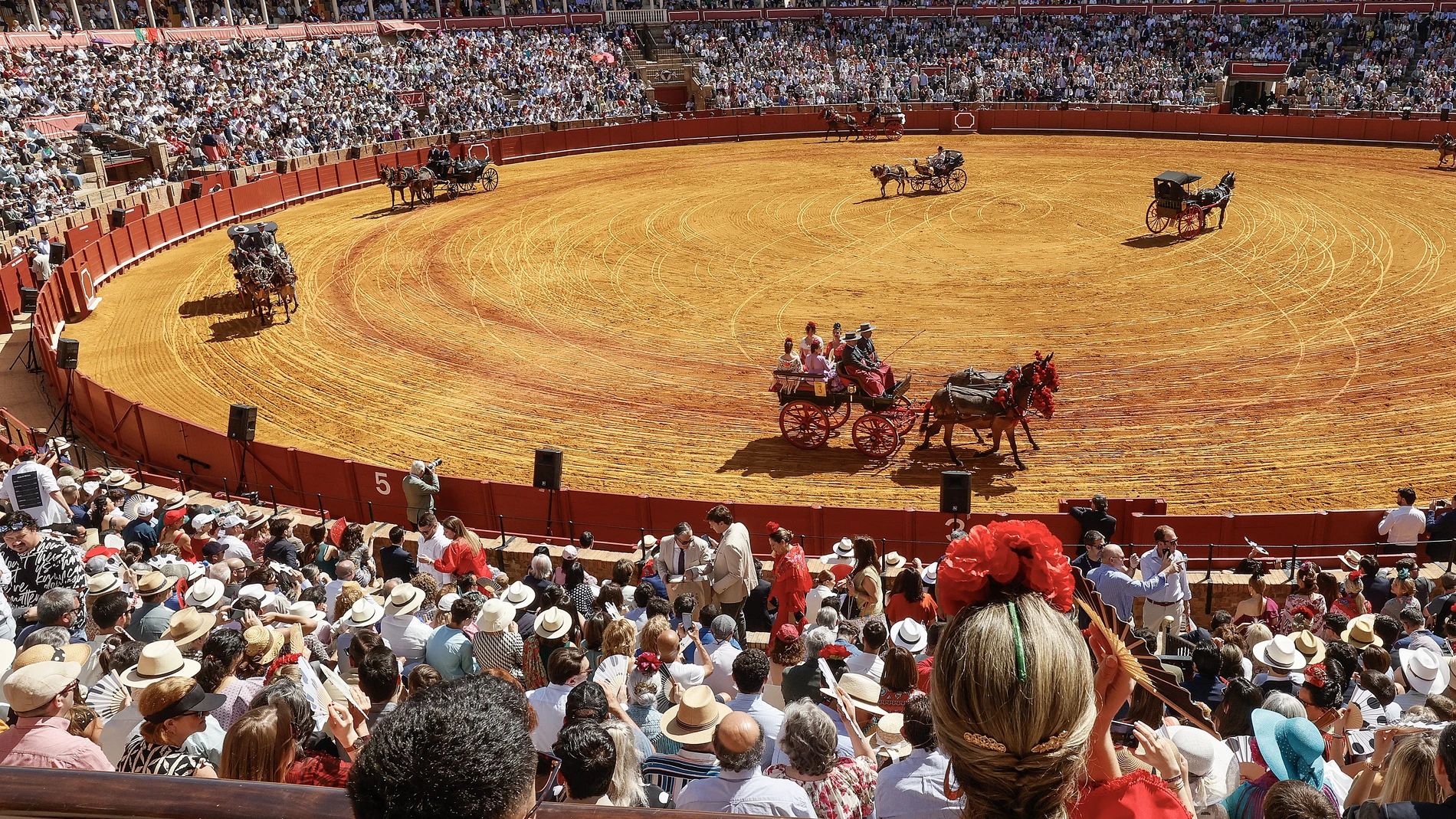 Exhibición de enganches en la plaza de toros de Sevilla