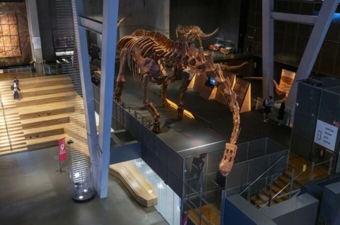 El CosmoCaixa de Barcelona amplía su exposición de dinosaurios con 5 huesos de Patagotitan