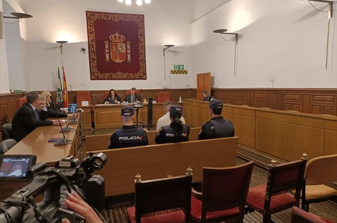 Granada.- Tribunales.- El acusado de asesinar a su expareja acepta 21 años de prisión: "Pido perdón a mis niñas"
