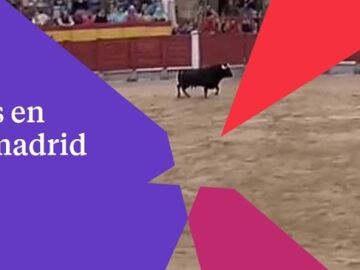 Los toros de San Isidro también se verán por Telemadrid