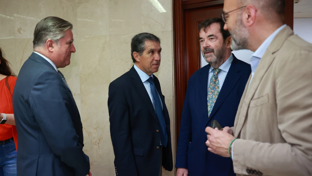 Plan de choque del CGPJ para los juzgados de Cádiz y Huelva: restructuración, más refuerzos y cambios legales