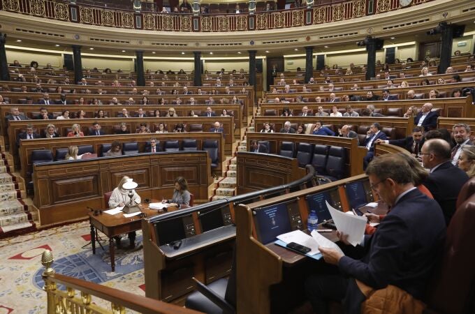 Pleno en el Congreso de los Diputados.