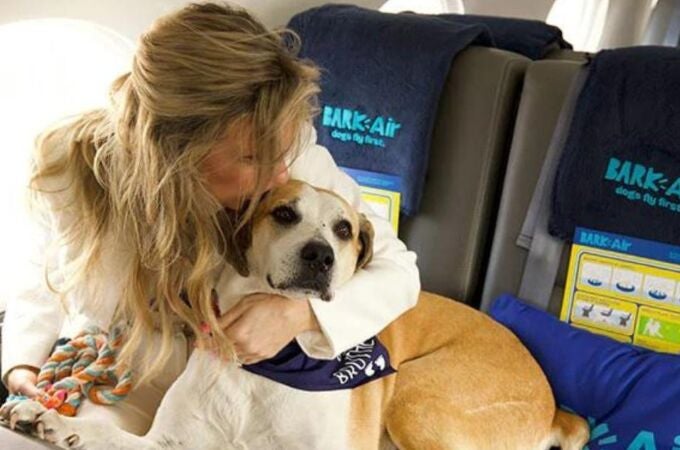 Bark Air es la primera experiencia de viaje aéreo del mundo pensada específicamente para perros