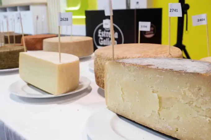 Estos son los mejores quesos de Castilla-La Mancha 2024