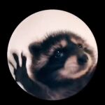  El origen de "Pedro, Pedro, Pedro", el vídeo viral del mapache que baila a Raffaella Carrà