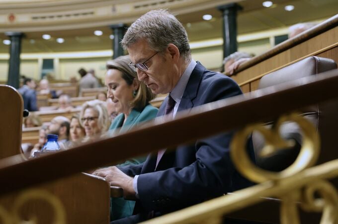  El presidente del PP, Alberto Núñez Feijóo durante la sesión de control al Gobierno celebrada este miércoles en el Congreso. 